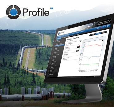 Introducing Profile